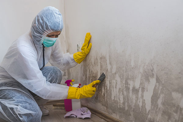 Mold Growth on Wall remediation cleaning